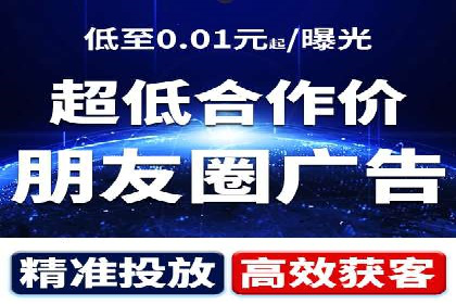 某电商平台的SEM策略与效果展示